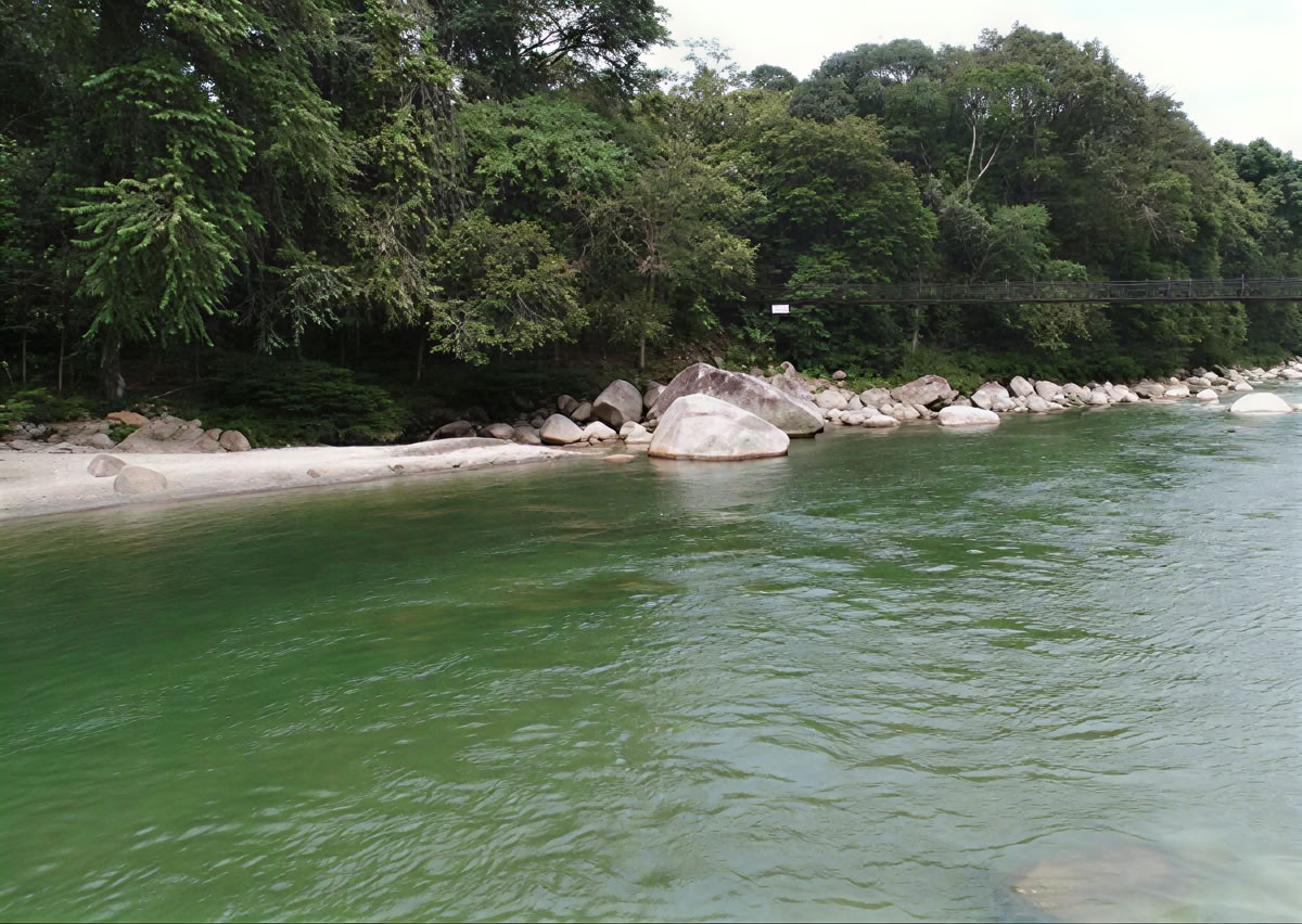 5-day Ayahuasca Retreat in Ecuador