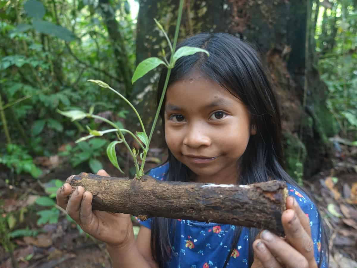 Ayahuasca Ceremony in Ecuador