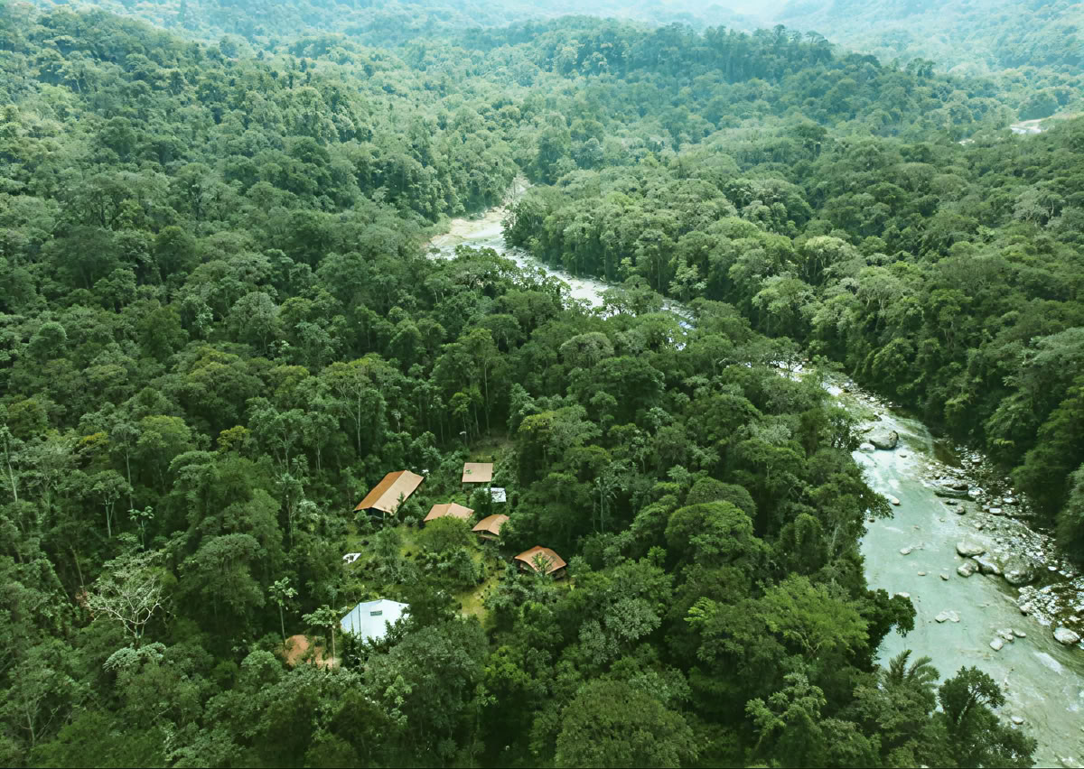 Ayahuasca Ceremony in Ecuador