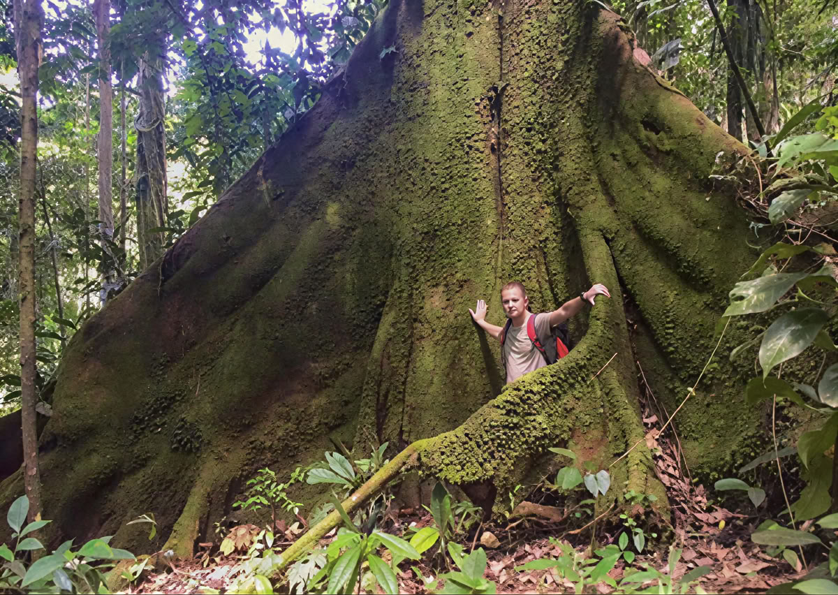 Ayahuasca Ceremony in Ecuador