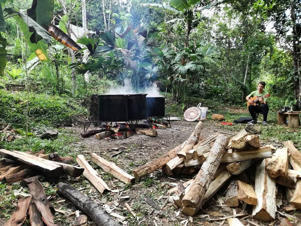 30 Day – Ayahuasca & Master Plant Dieta