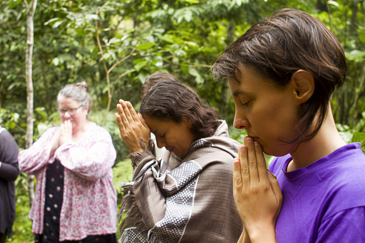 30 Day – Ayahuasca & Master Plant Dieta