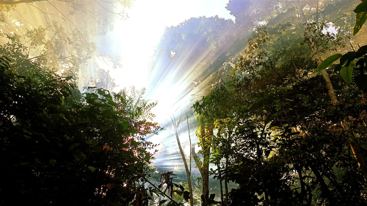 Ayahuasca and Machu Picchu 13 days retreat