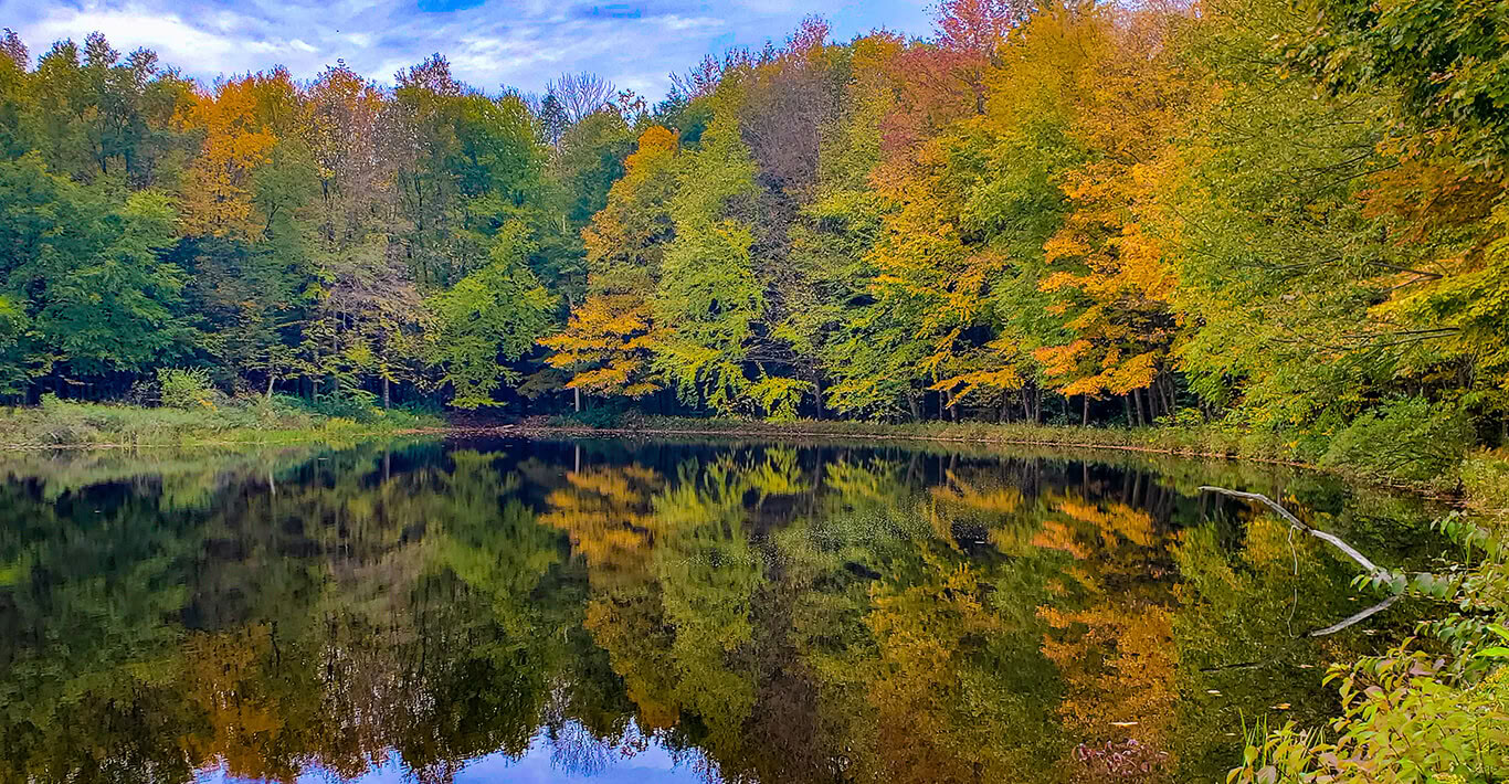 Harvest Moon Festival at Sunset Pond