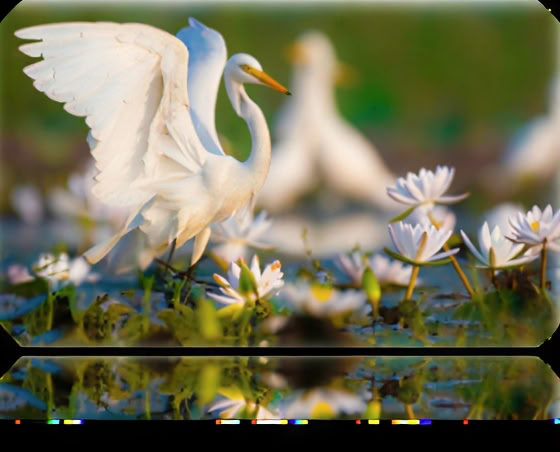 Meditation seminar: From spiritualizing the body to grounding the soul