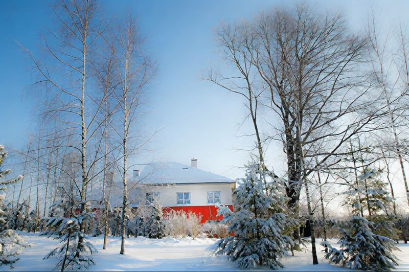 Osho Dynamic & No-Mind Meditations. At Festival Mandala