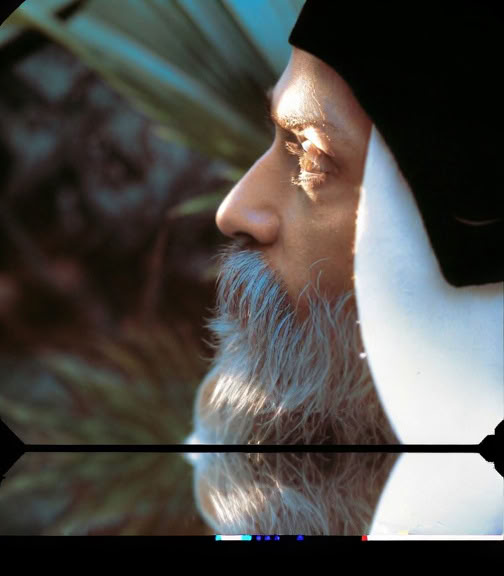 Osho Dynamic & No-Mind Meditations. At Festival Mandala