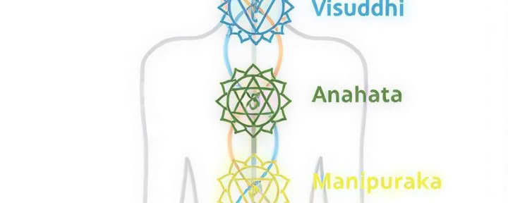 Osho Dynamic & No-Mind Meditations. At Festival Mandala