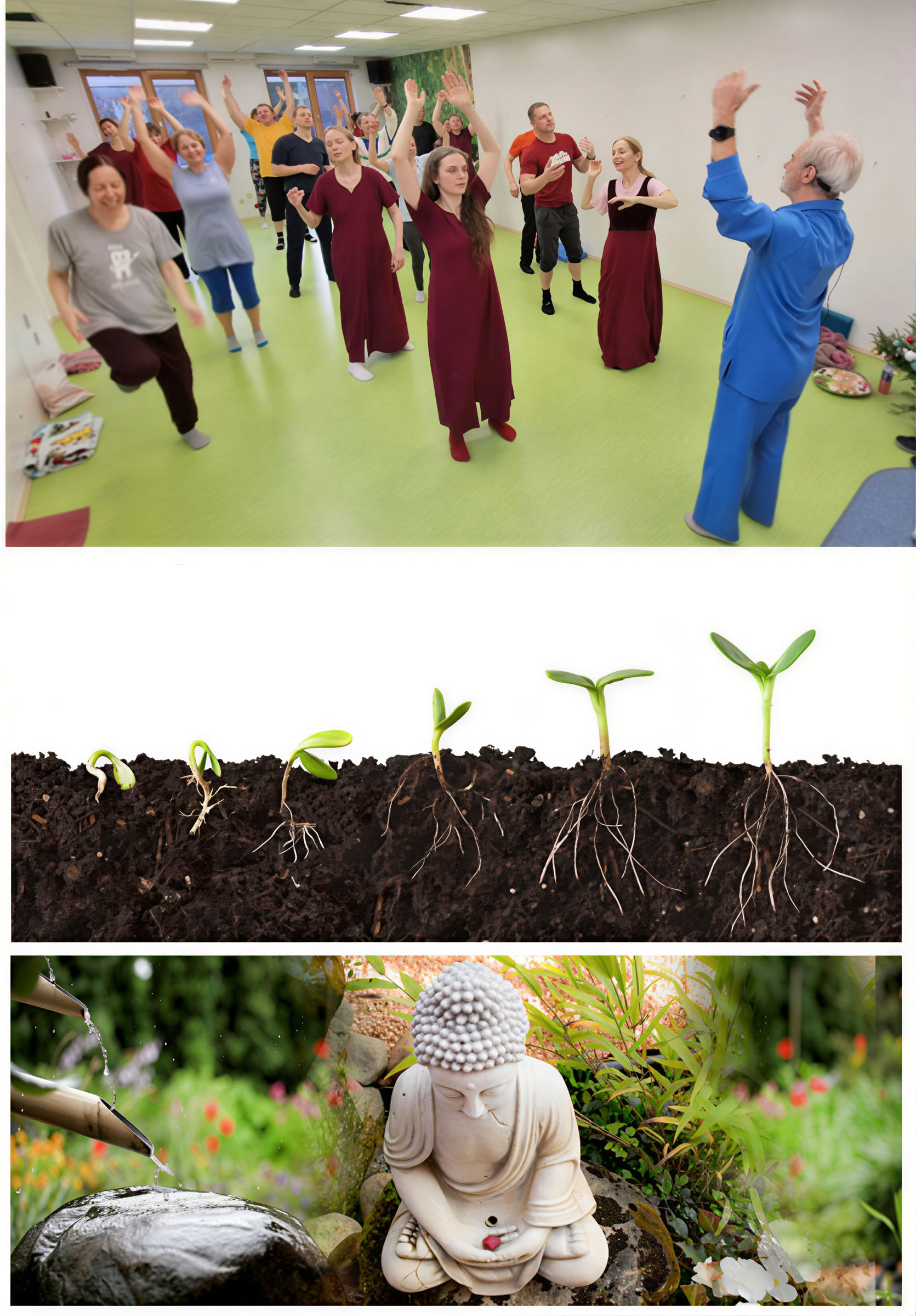 Meditation School – 8. Meditation - Unity of Body, Mind and Soul
