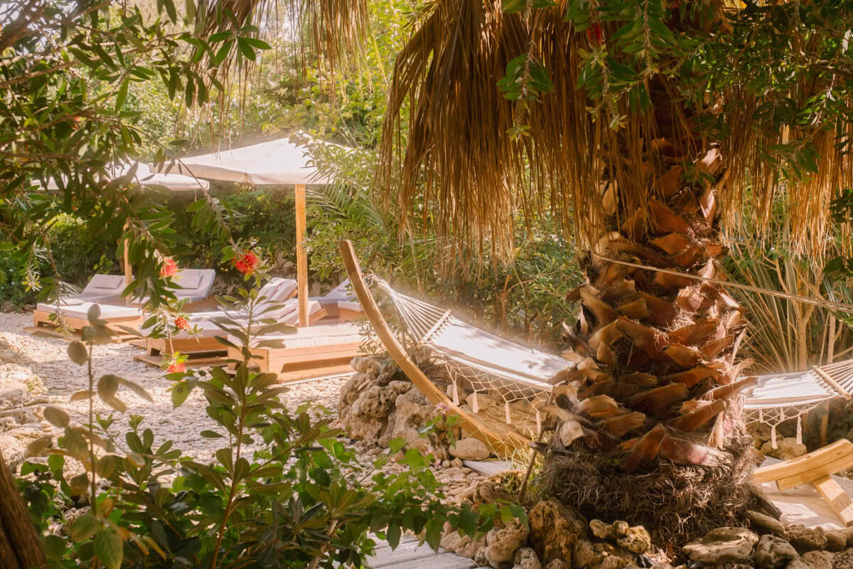 The Power of Practice