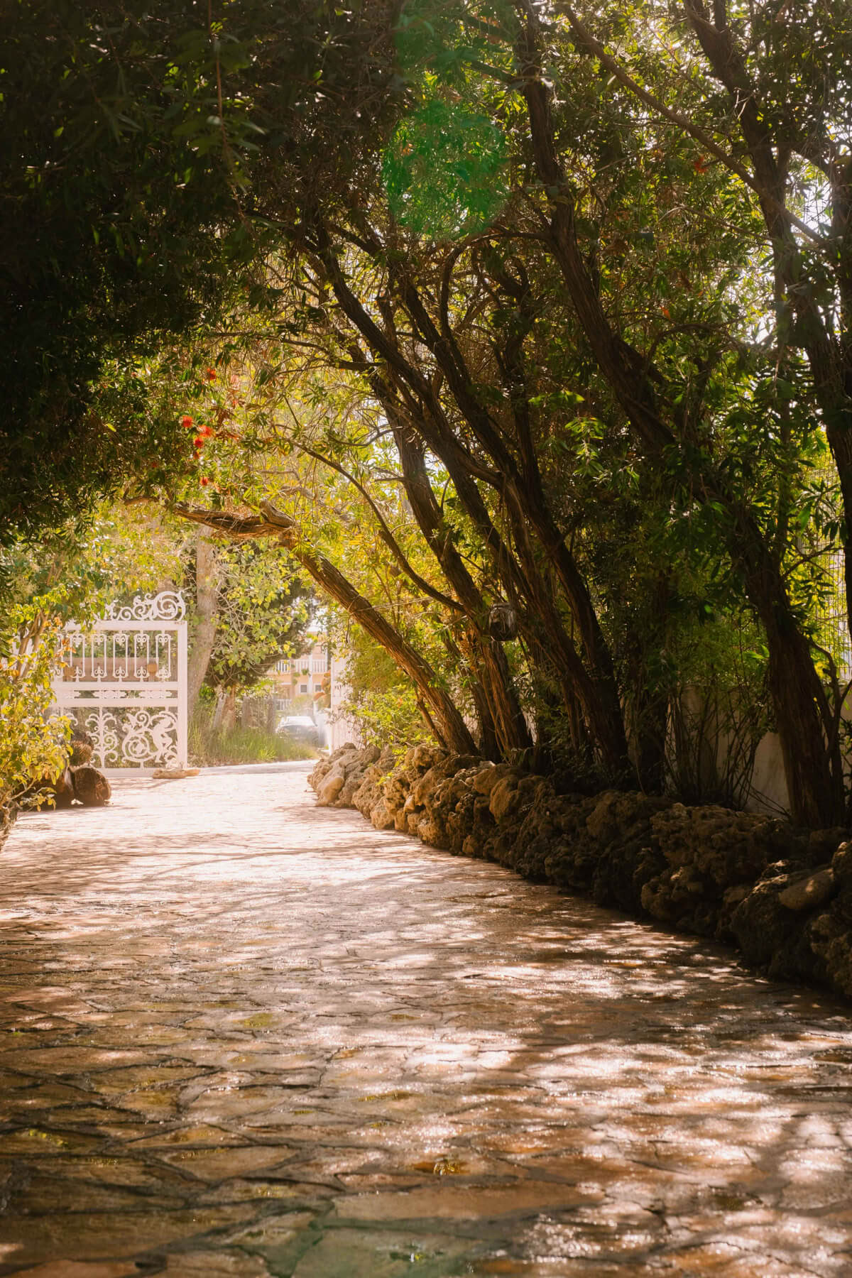 The Power of Practice