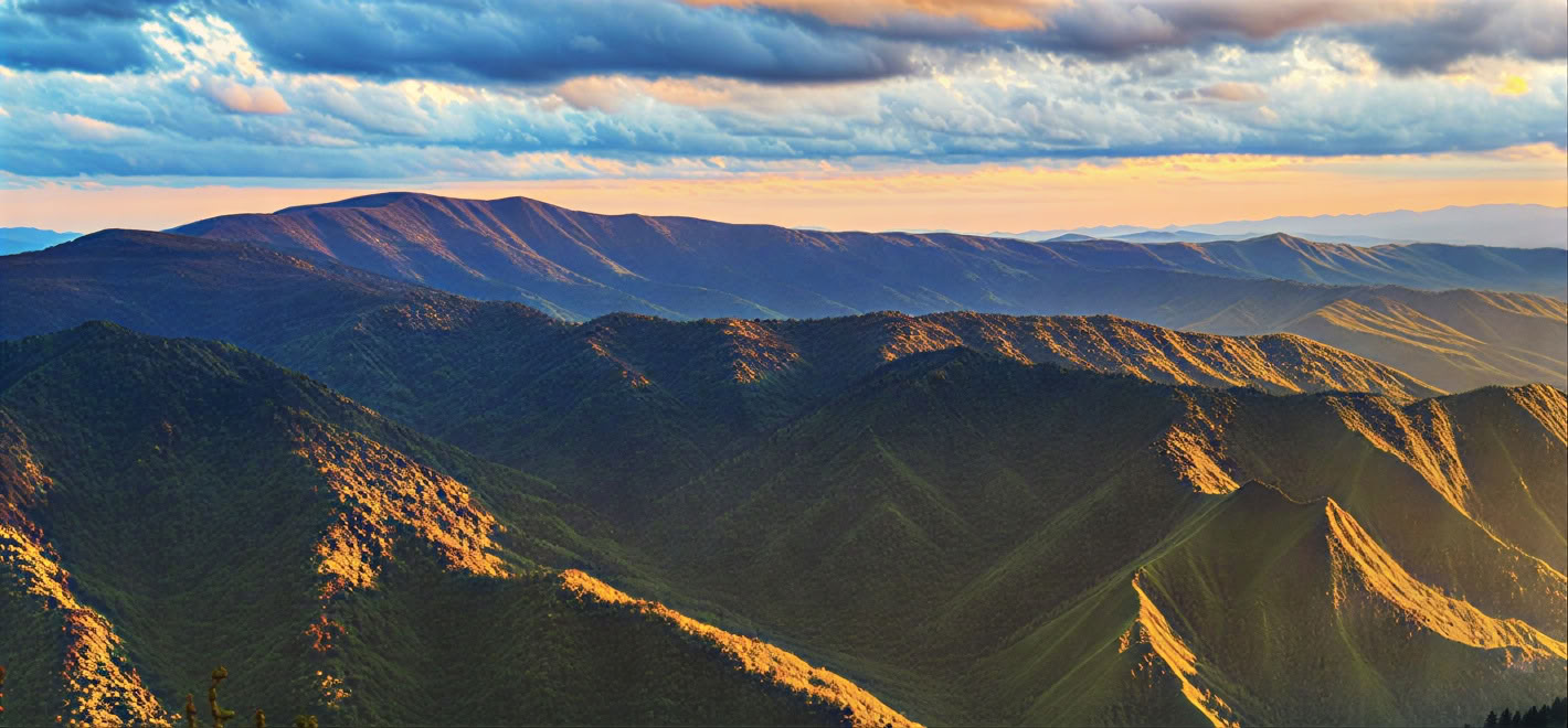 R&R: Resourcing & Renewal