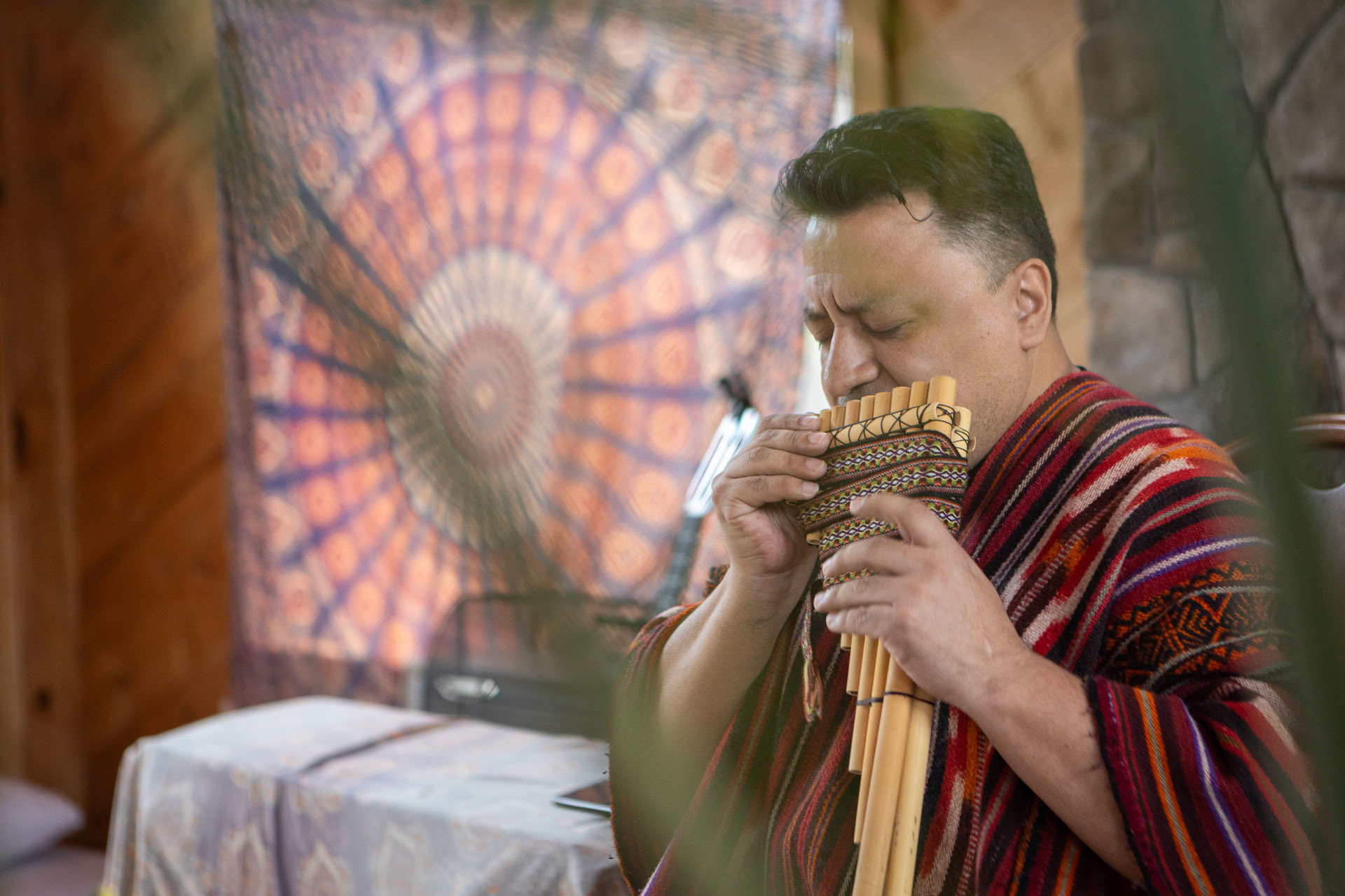 Sacred Ayahuasca Retreat with Arkawa