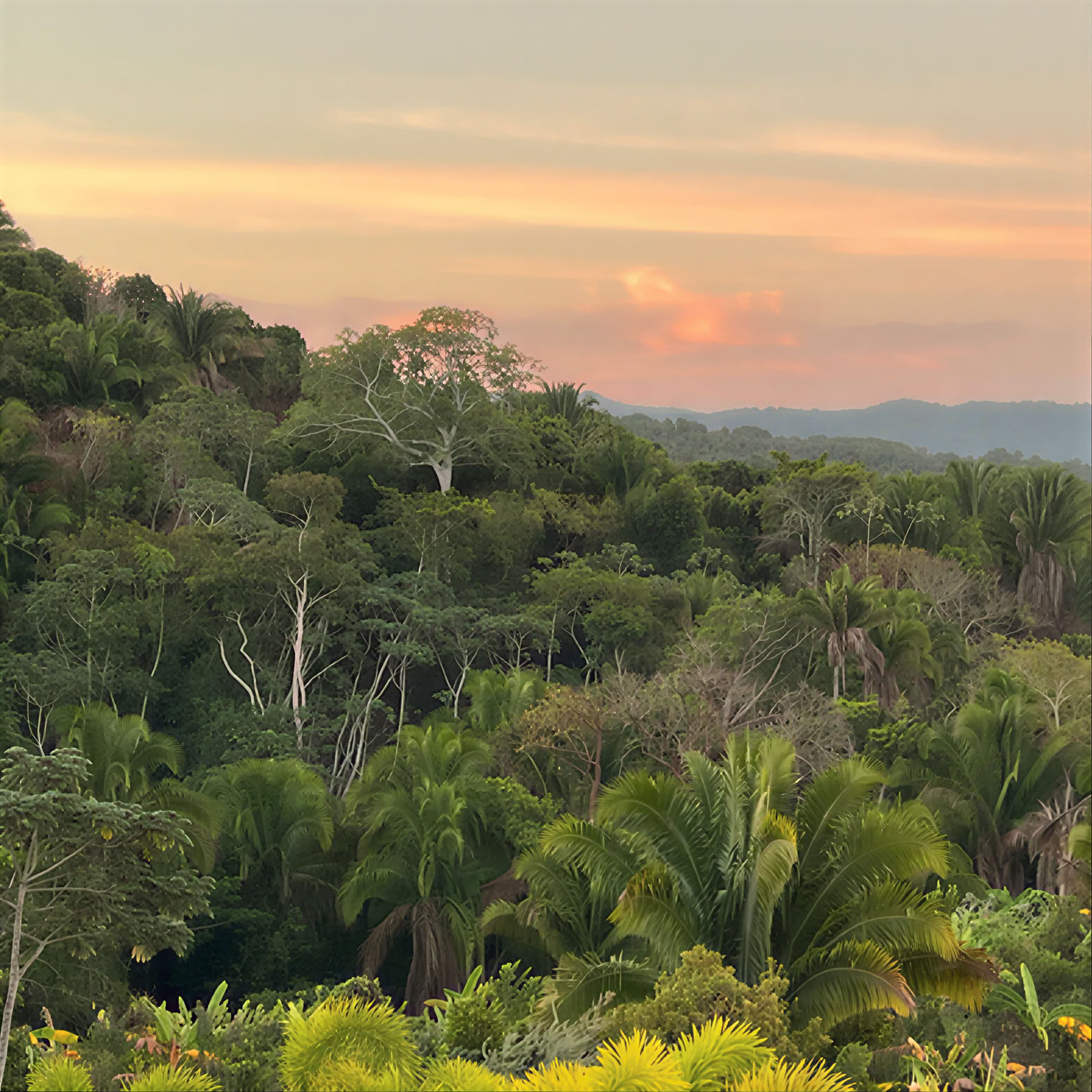 Birding, Yoga & Wellbeing Retreat