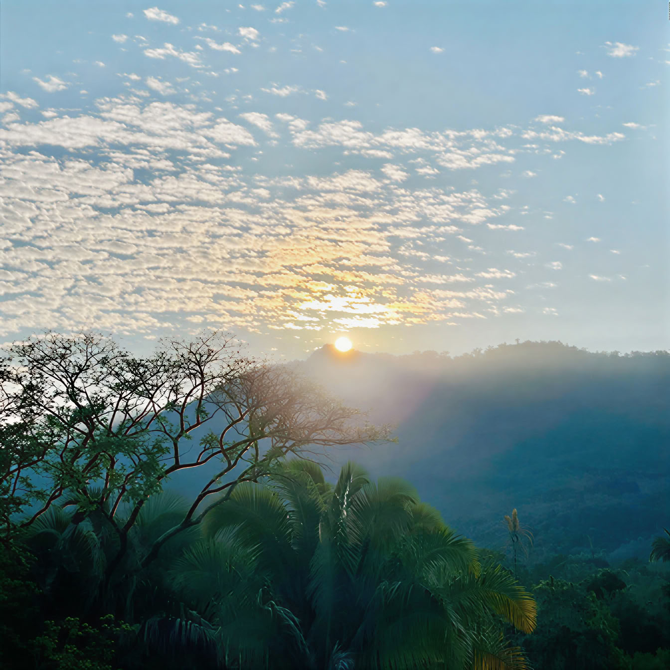 Birding, Yoga & Wellbeing Retreat