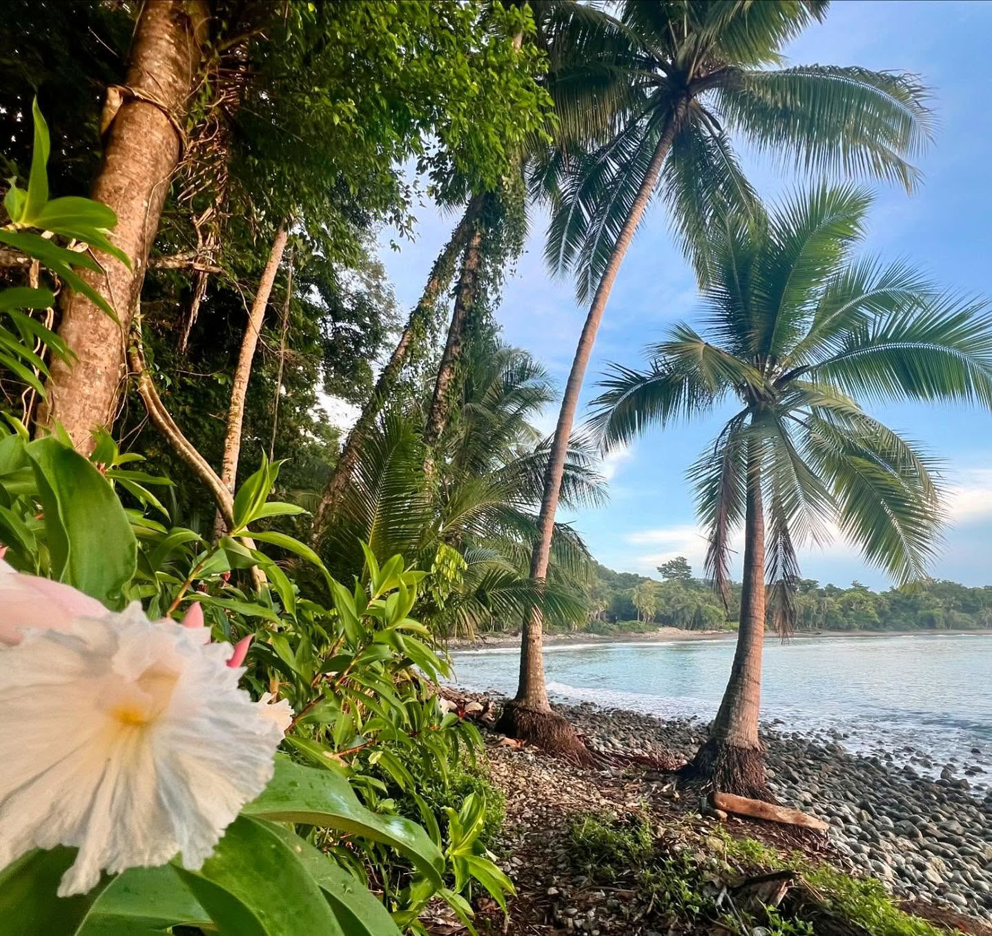 THE JOY RETREAT