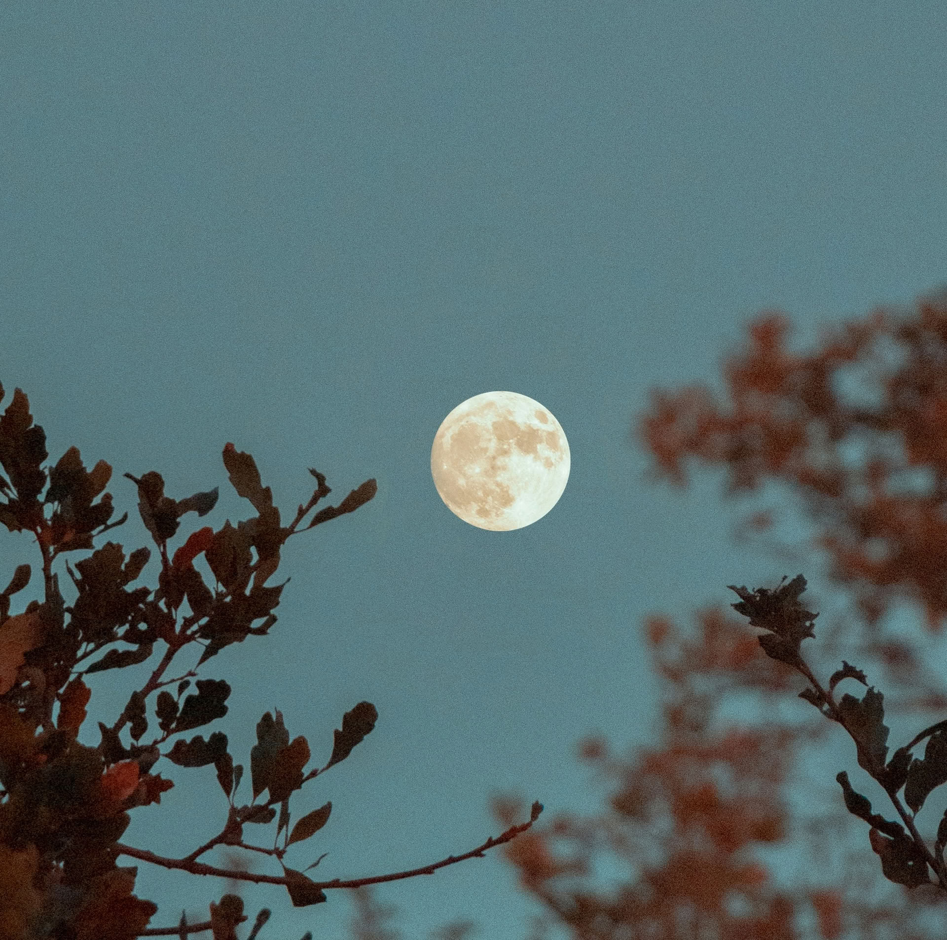 Service to the Temple