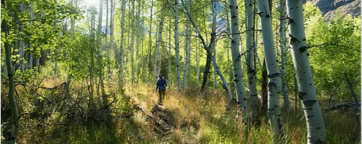 Heart of the Mountain Sesshin: A Backpacking Sesshin at the Bells Mountain Dharma Center