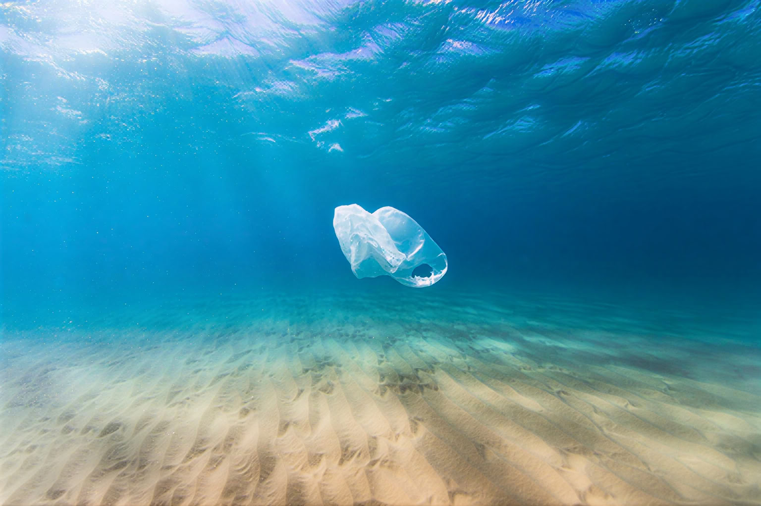 Oceans of Compassion: A Retreat In Service To The Earth