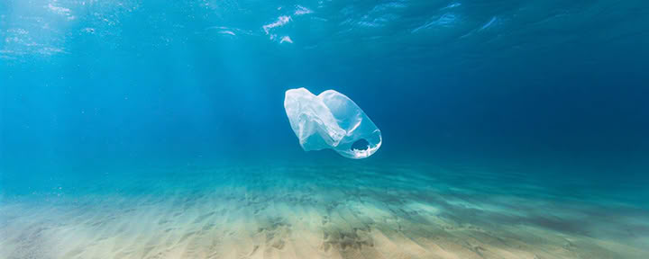 Oceans of Compassion: A Retreat In Service To The Earth