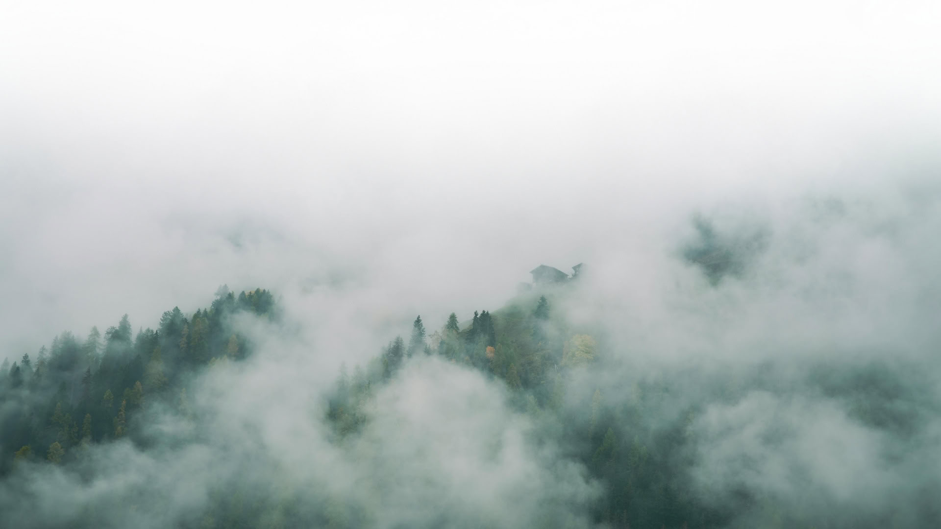 Shamatha Meditation – Half Day + Potluck