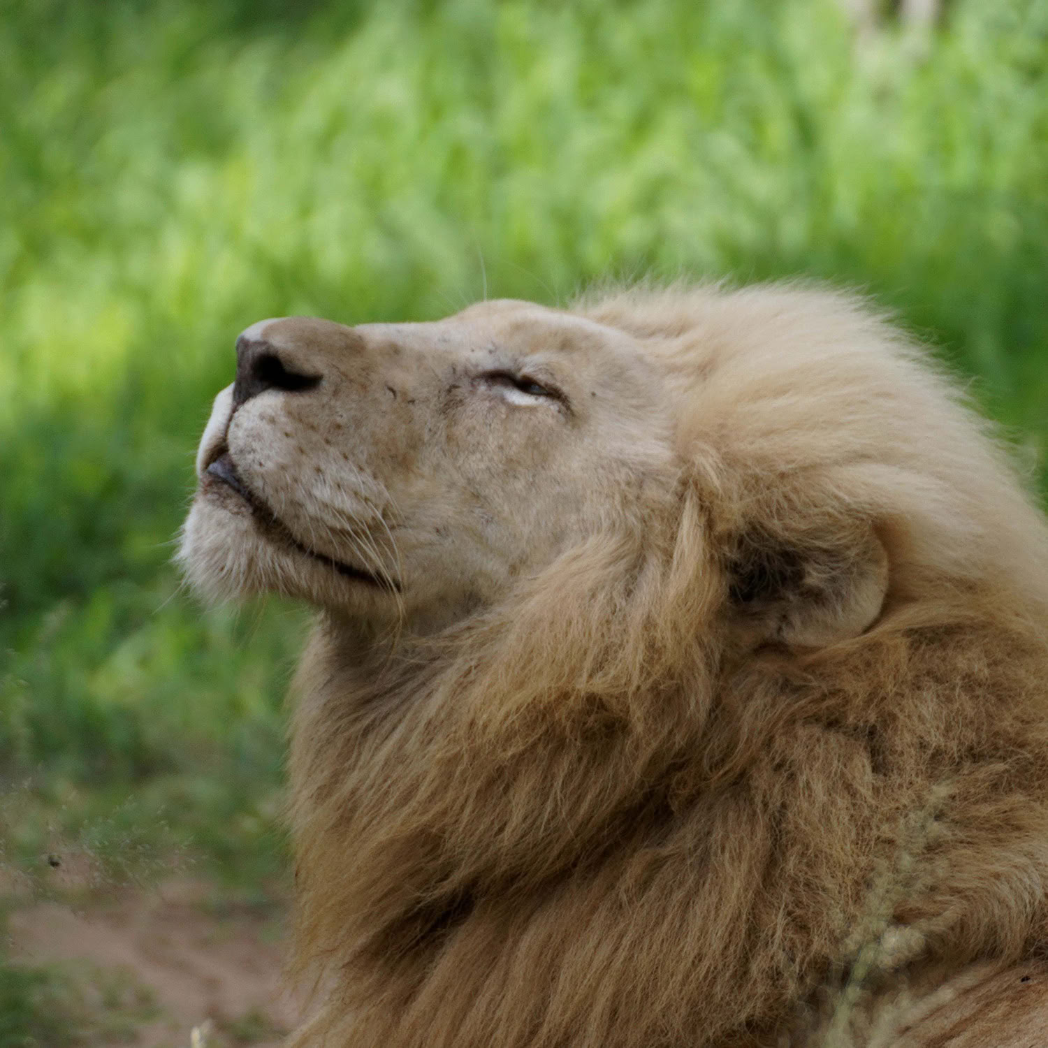 Primal Spirituality 4: Fulfilling Mission