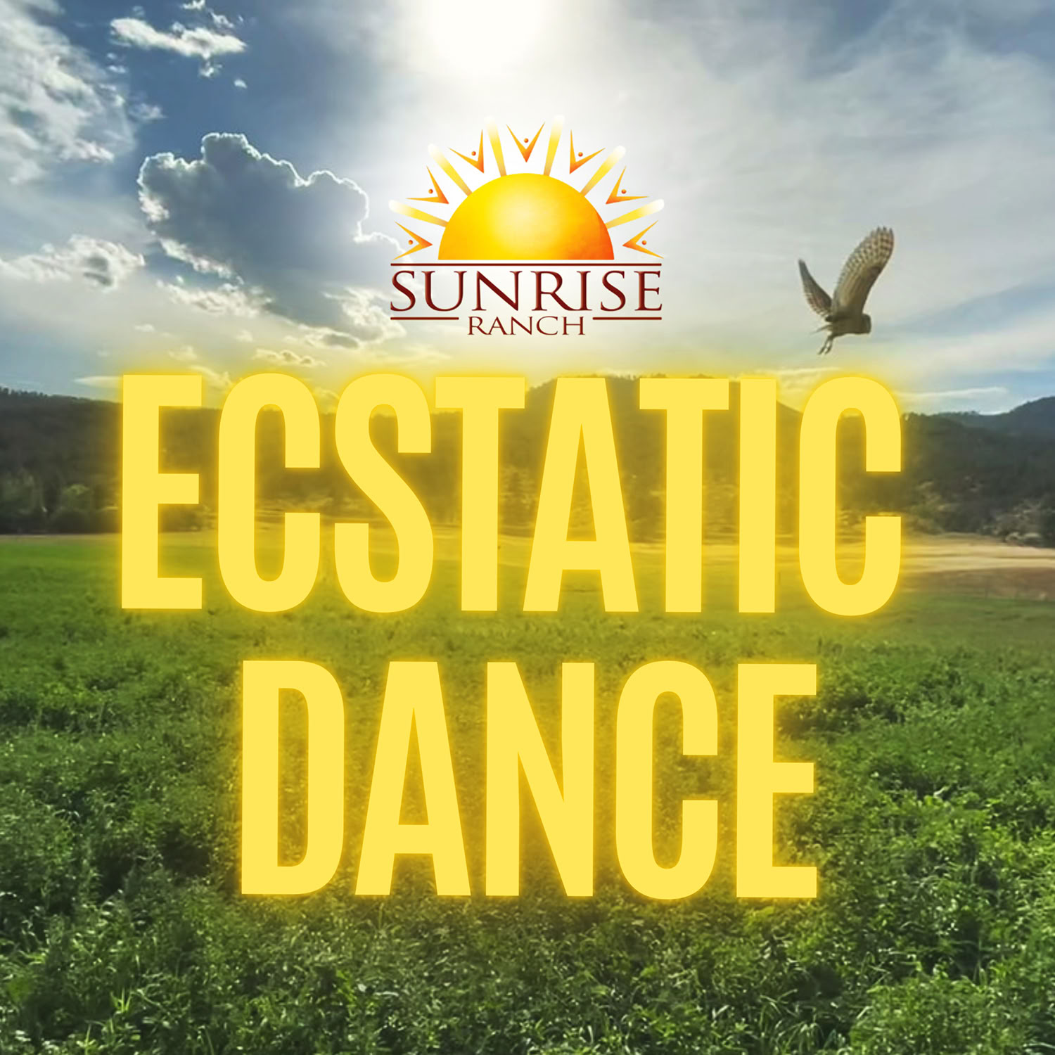 Primal Spirituality 3: Taking Intelligent Action