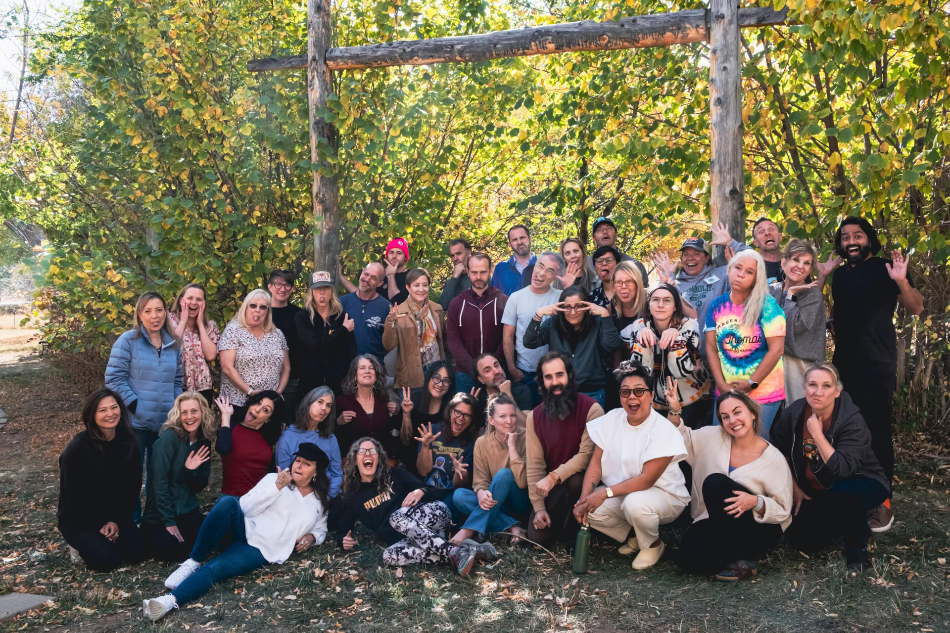 PRATI KAP Foundations in Psychedelic Medicine Training