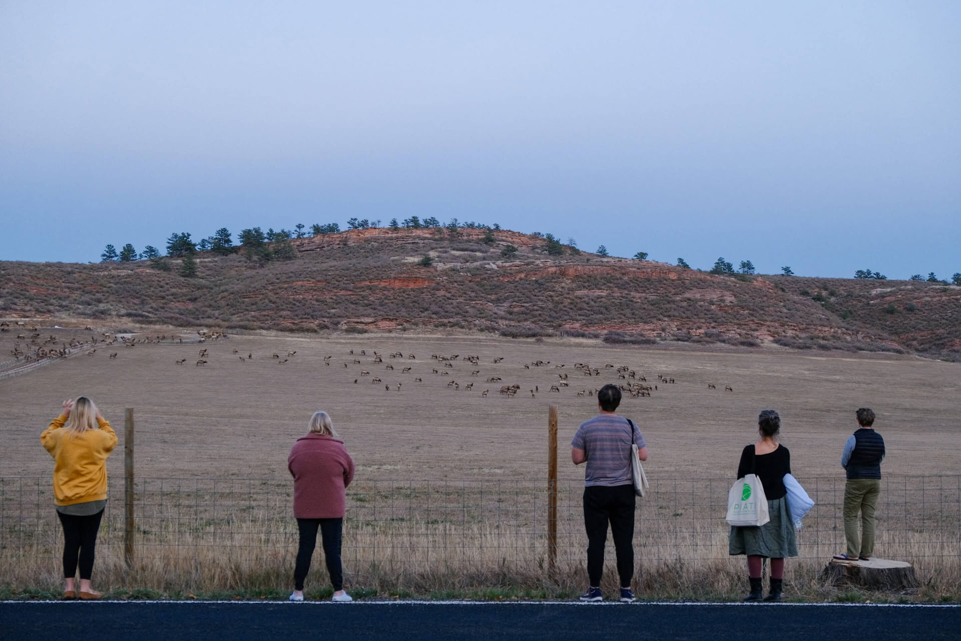 PRATI KAP Foundations in Psychedelic Medicine Training