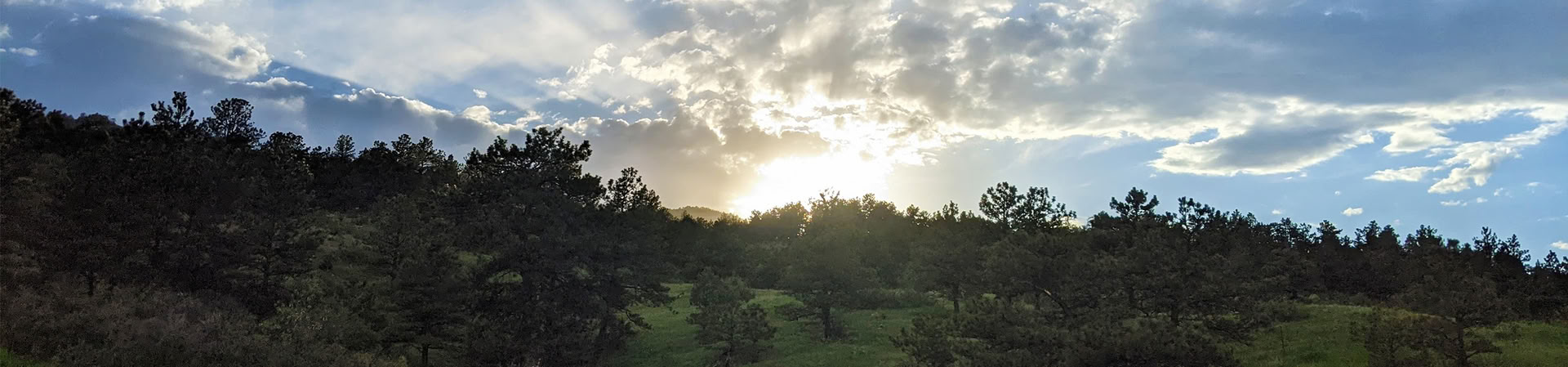 PRATI KAP Foundations in Psychedelic Medicine Training – June 25–28 – CANCELLED