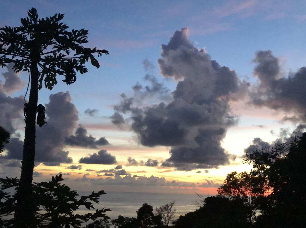 InwardBound Private Psilocybin Retreat: 4 day, 2 Psilocybin Sessions- Netherlands/ Costa Rica