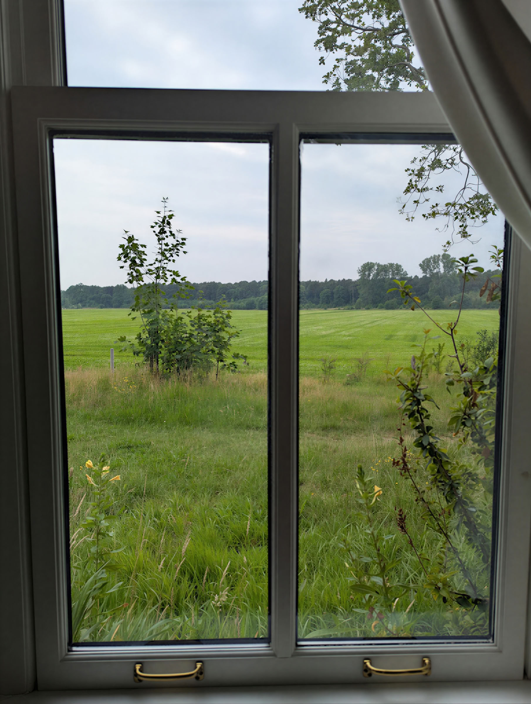 InwardBound Private Psilocybin Retreat: 4 day, 2 Psilocybin Sessions- Netherlands/ Costa Rica