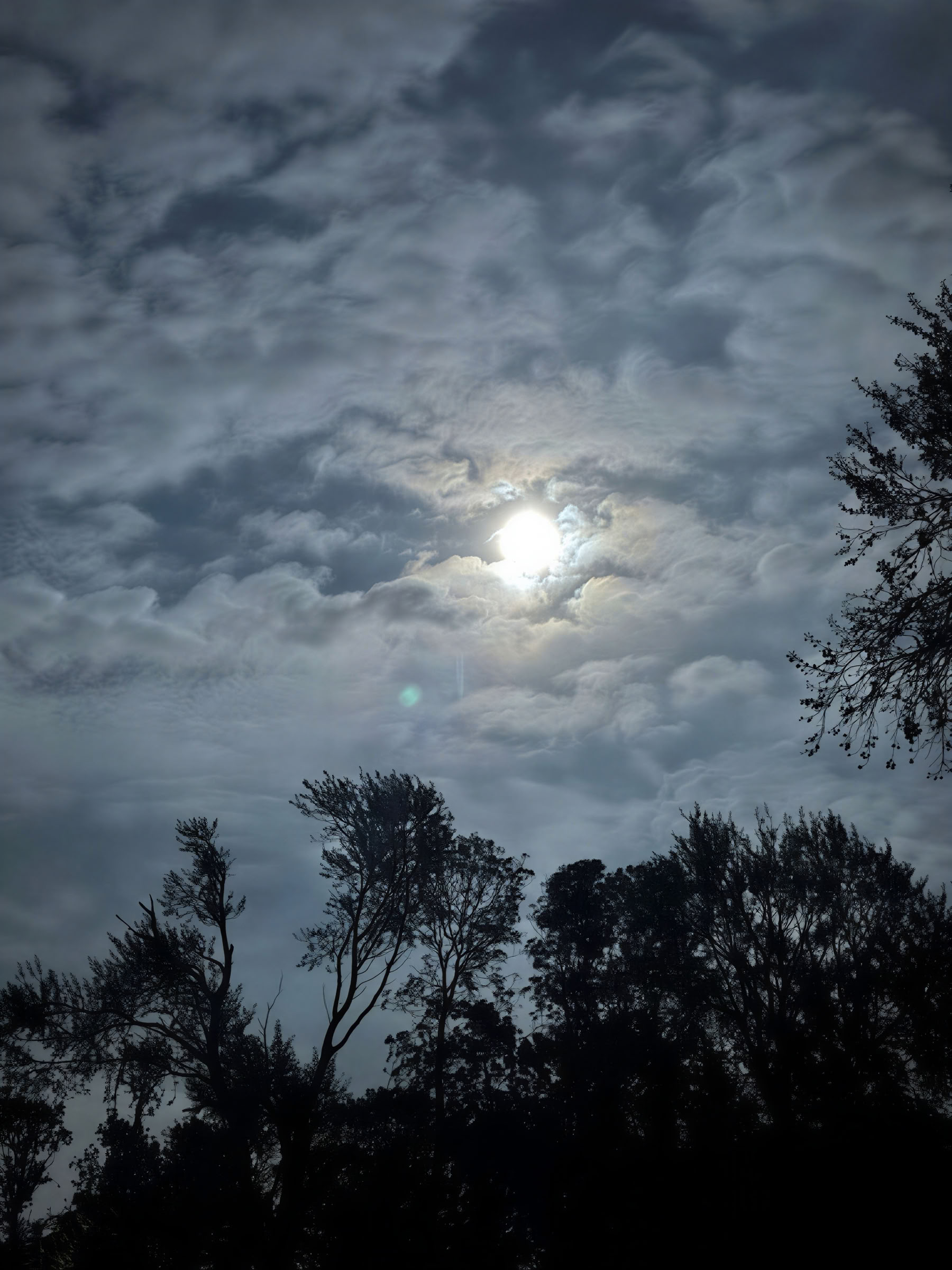 InwardBound Private Psilocybin Retreat: 4 day, 2 Psilocybin Sessions- Netherlands/ Costa Rica