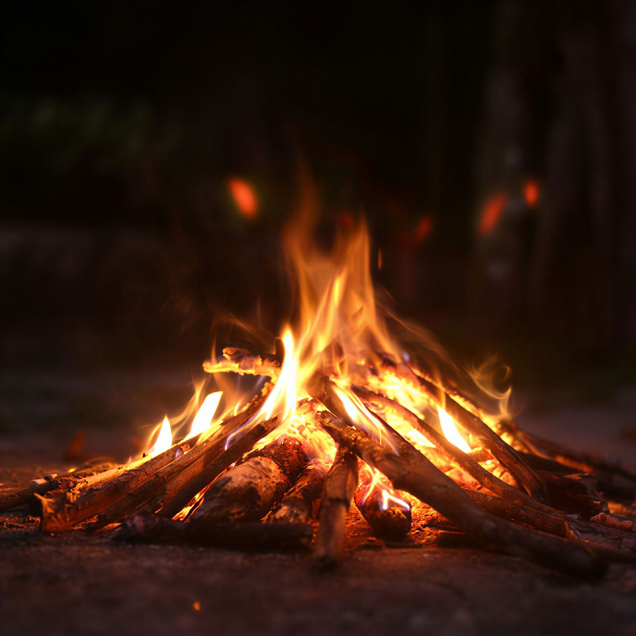 InwardBound Private Psilocybin Retreat: 4 day, 2 Psilocybin Sessions- Netherlands/ Costa Rica