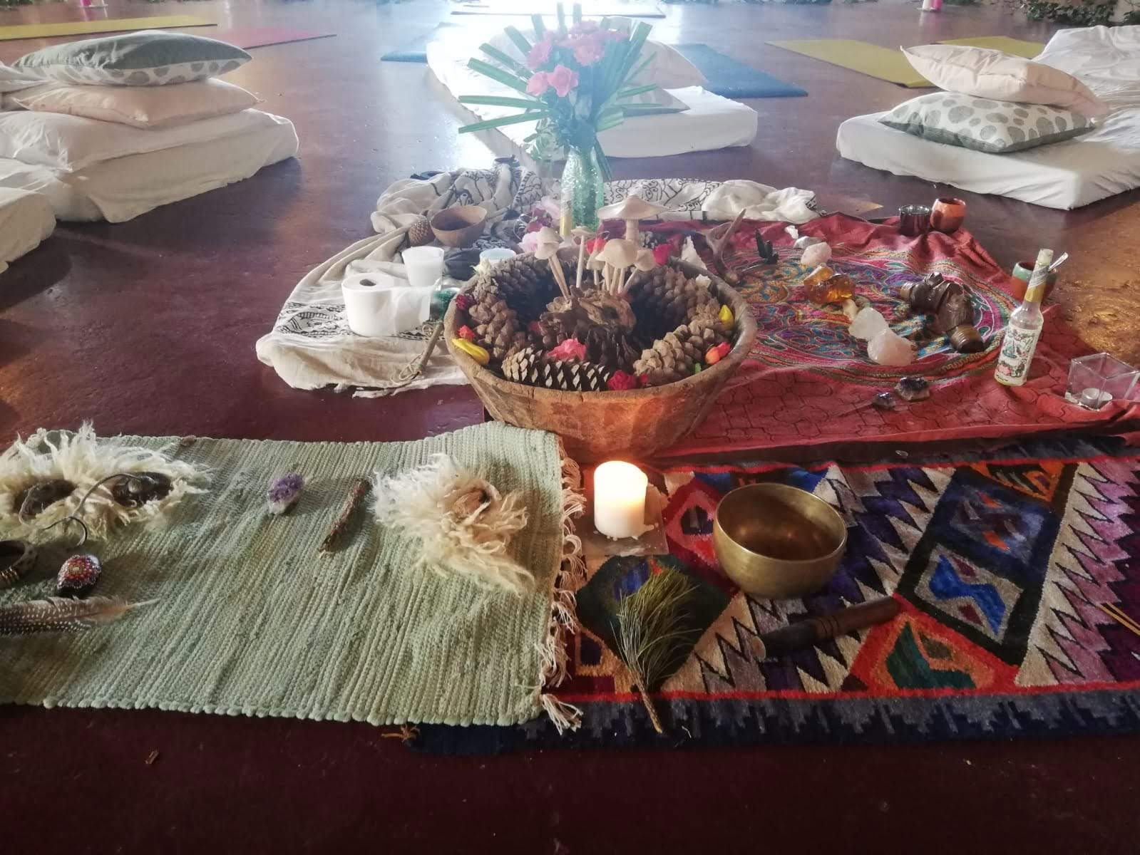 InwardBound Private Psilocybin Retreat: 4 day, 2 Psilocybin Sessions- Netherlands/ Costa Rica
