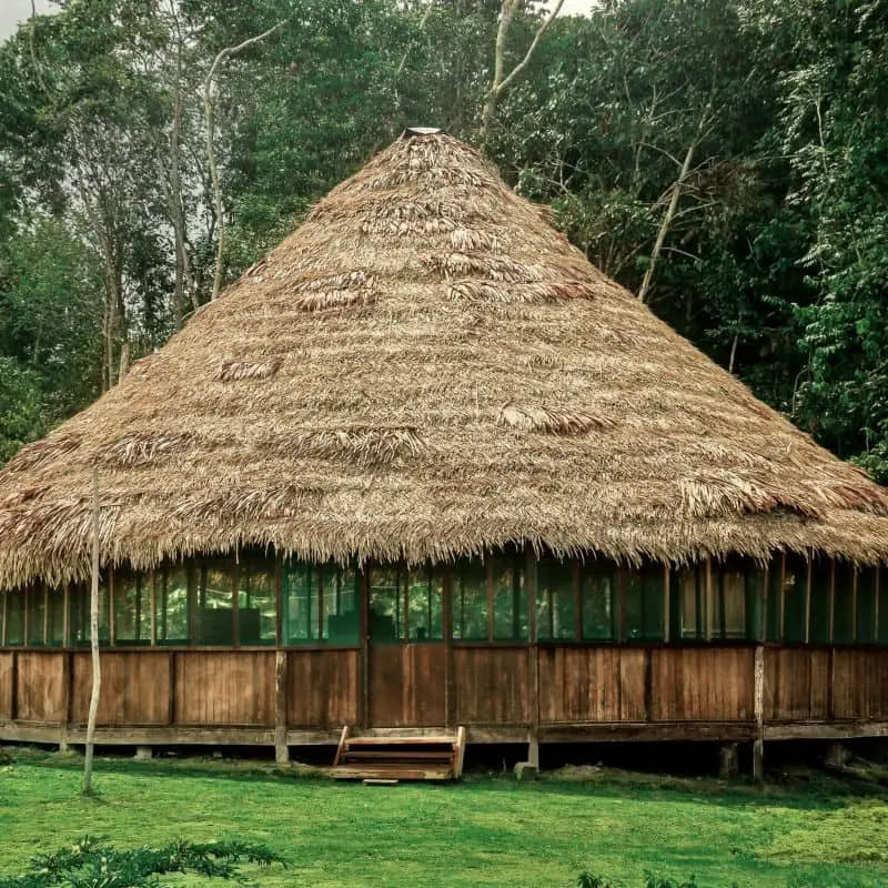 Transformation Ayahuasca Retreat