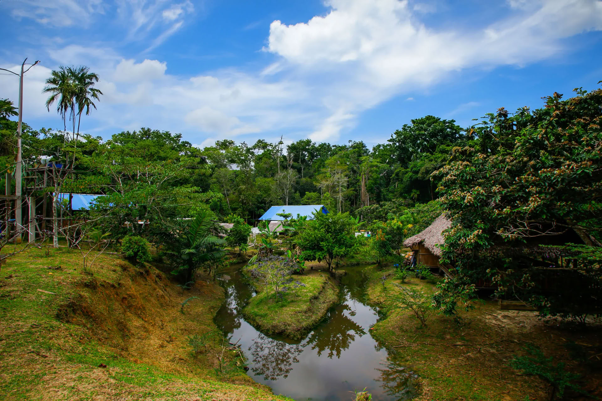 Transformation Ayahuasca Retreat