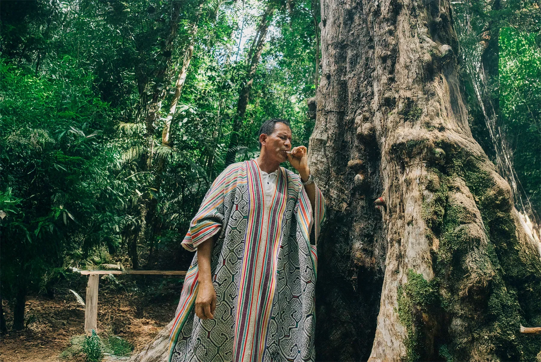 11-Day Noya Rao Voice of Light Retreat in Peru – October 4 - 14, 2026 | Vocal Expression & Spiritual Connection