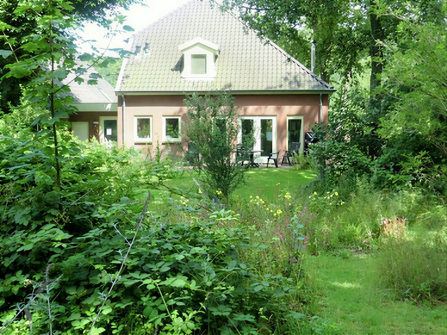 Private Psilocybin Retreat: 4 day, 2 Psilocybin Sessions