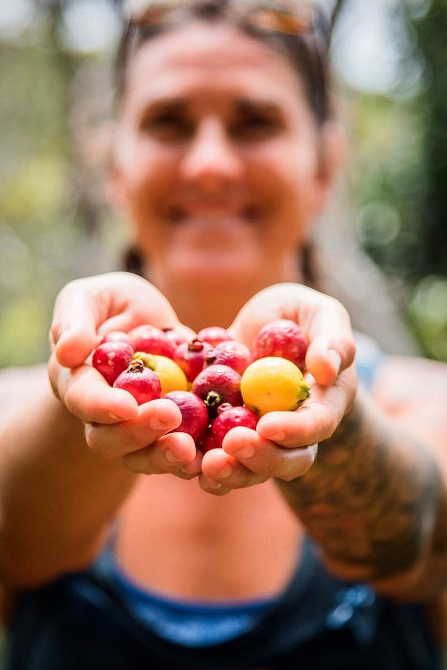 Get Your Finances in Order: A Practical Guide to Financial Literacy