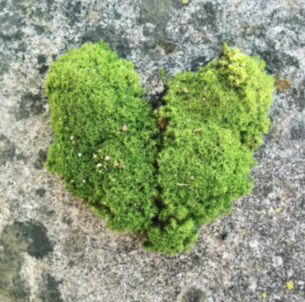 Get Your Finances in Order: A Practical Guide to Financial Literacy