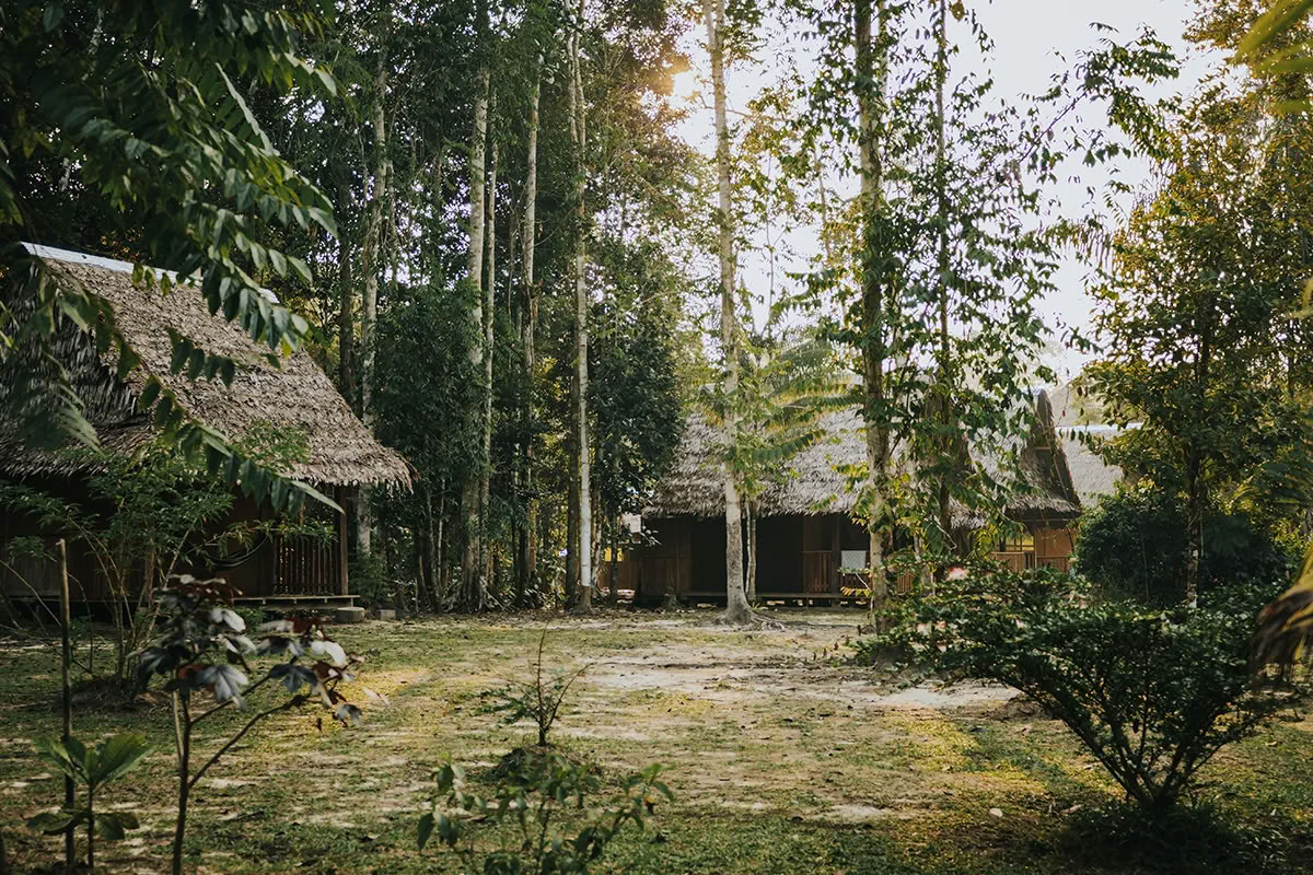 11-Day Ayahuasca Retreat in Peru – August 31 - September 10 2026 | Shipibo Healing & Integration