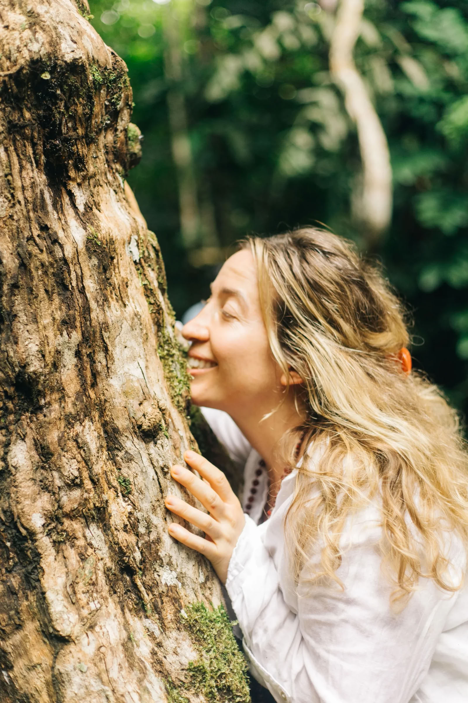 11-Day Ayahuasca Retreat in Peru – August 31 - September 10 2026 | Shipibo Healing & Integration