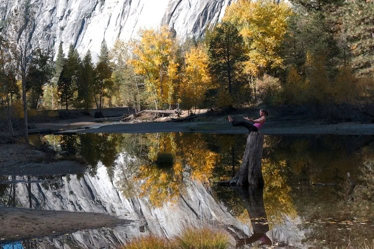 Roots of Resilience: Yoga & The Work That Reconnects