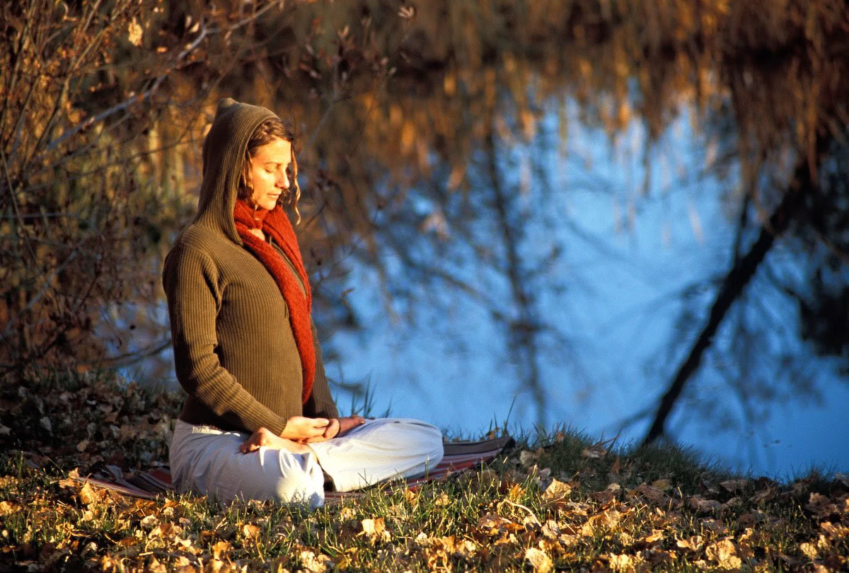 Roots of Resilience: Yoga & The Work That Reconnects