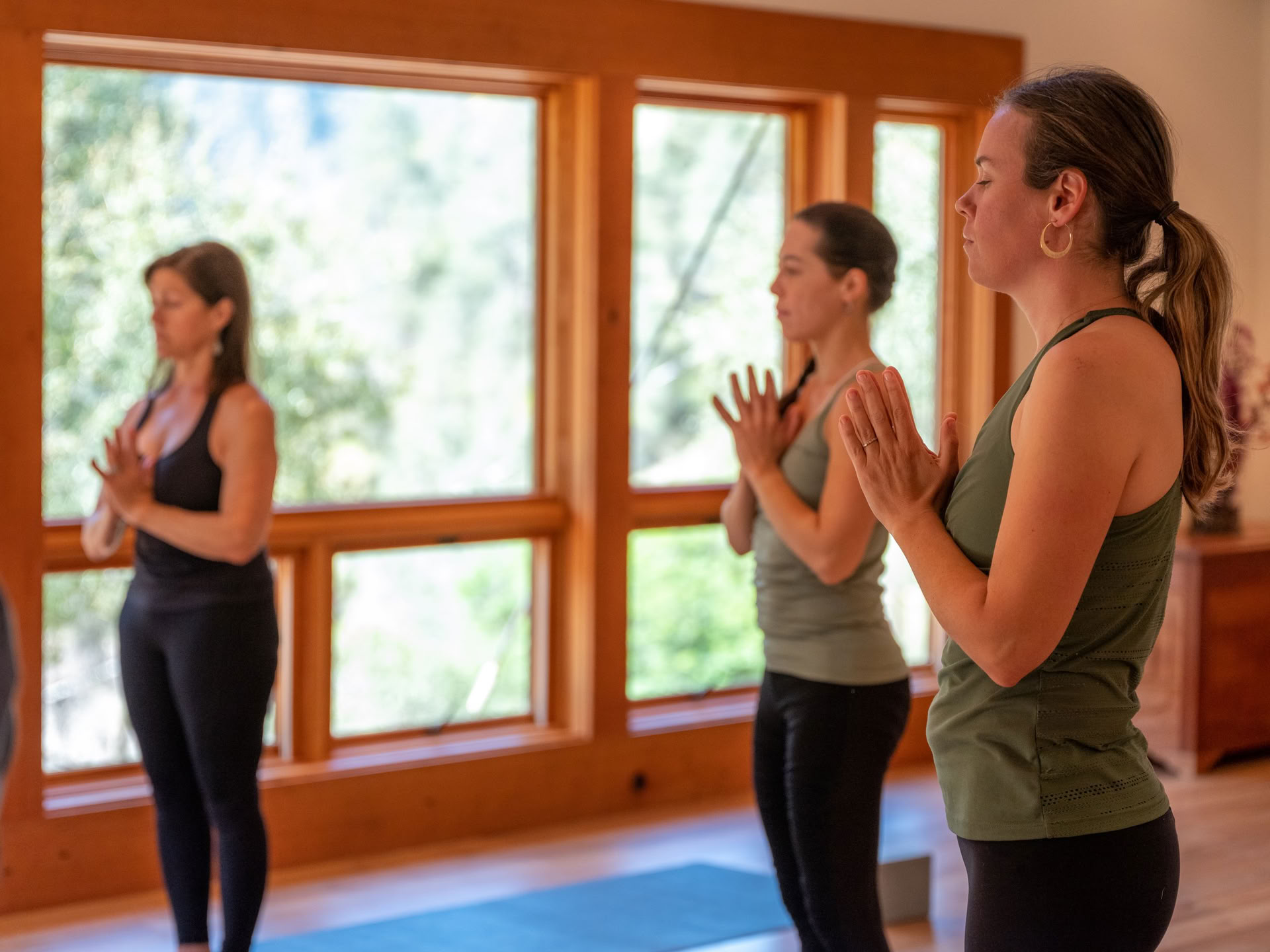 Roots of Resilience: Yoga & The Work That Reconnects