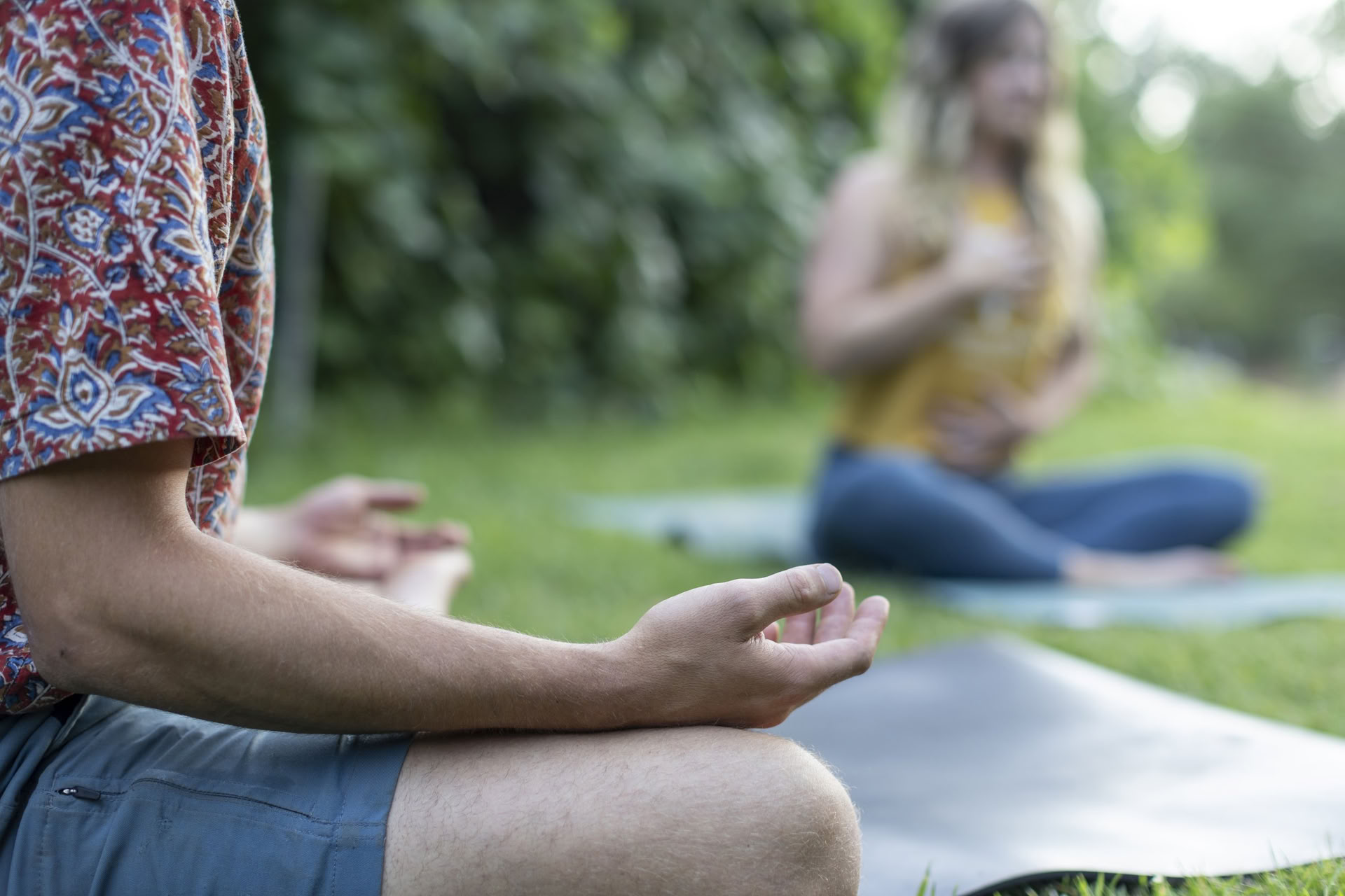 Roots of Resilience: Yoga & The Work That Reconnects