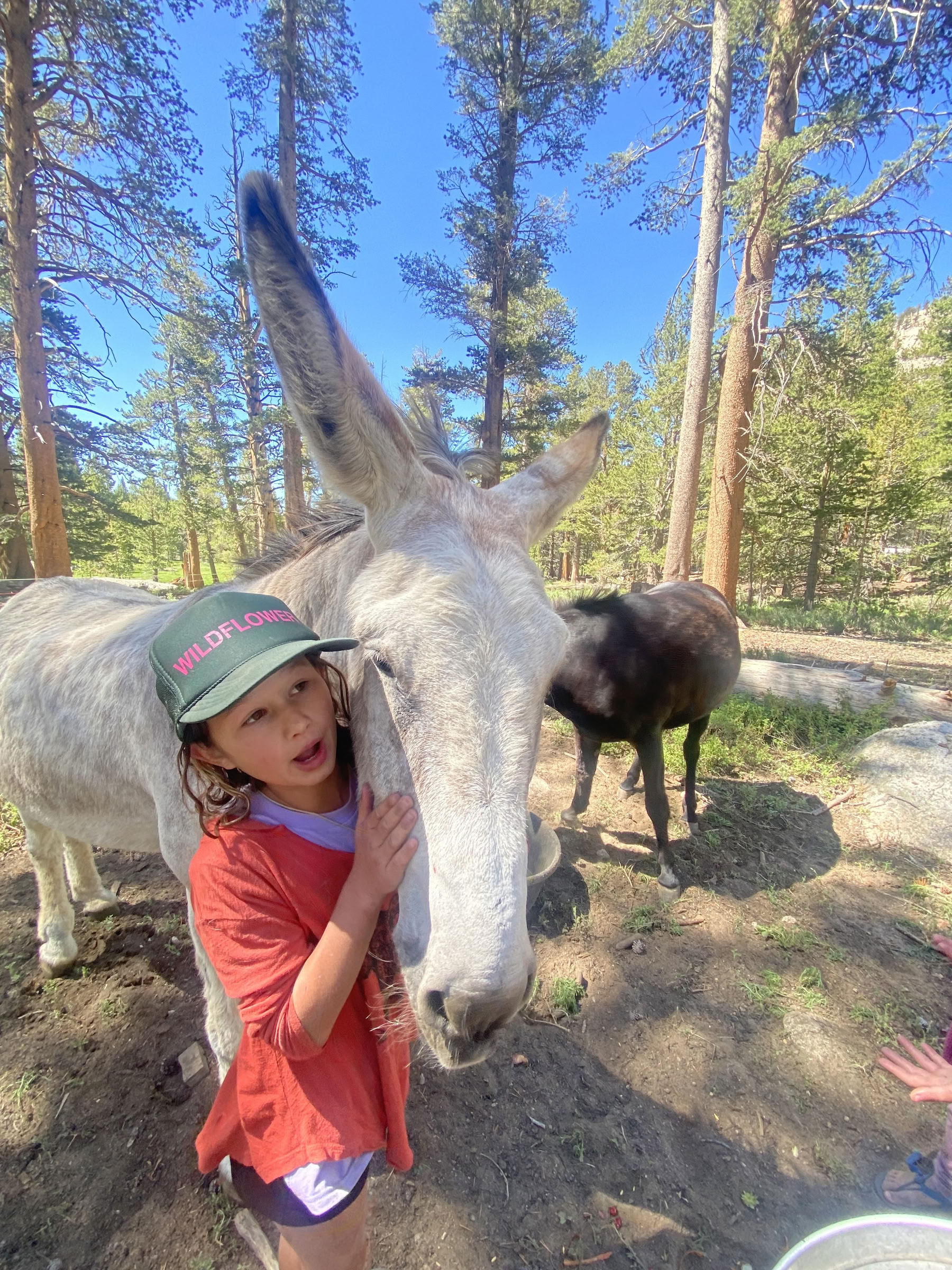 Summer Solstice Backpacking Trip