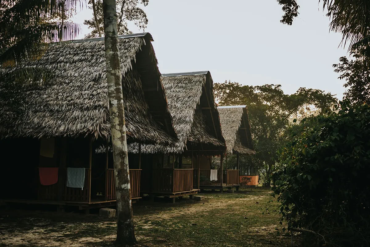 11-Day Ayahuasca Retreat in Peru – September 18 - 28 2026 | Shipibo Healing & Integration