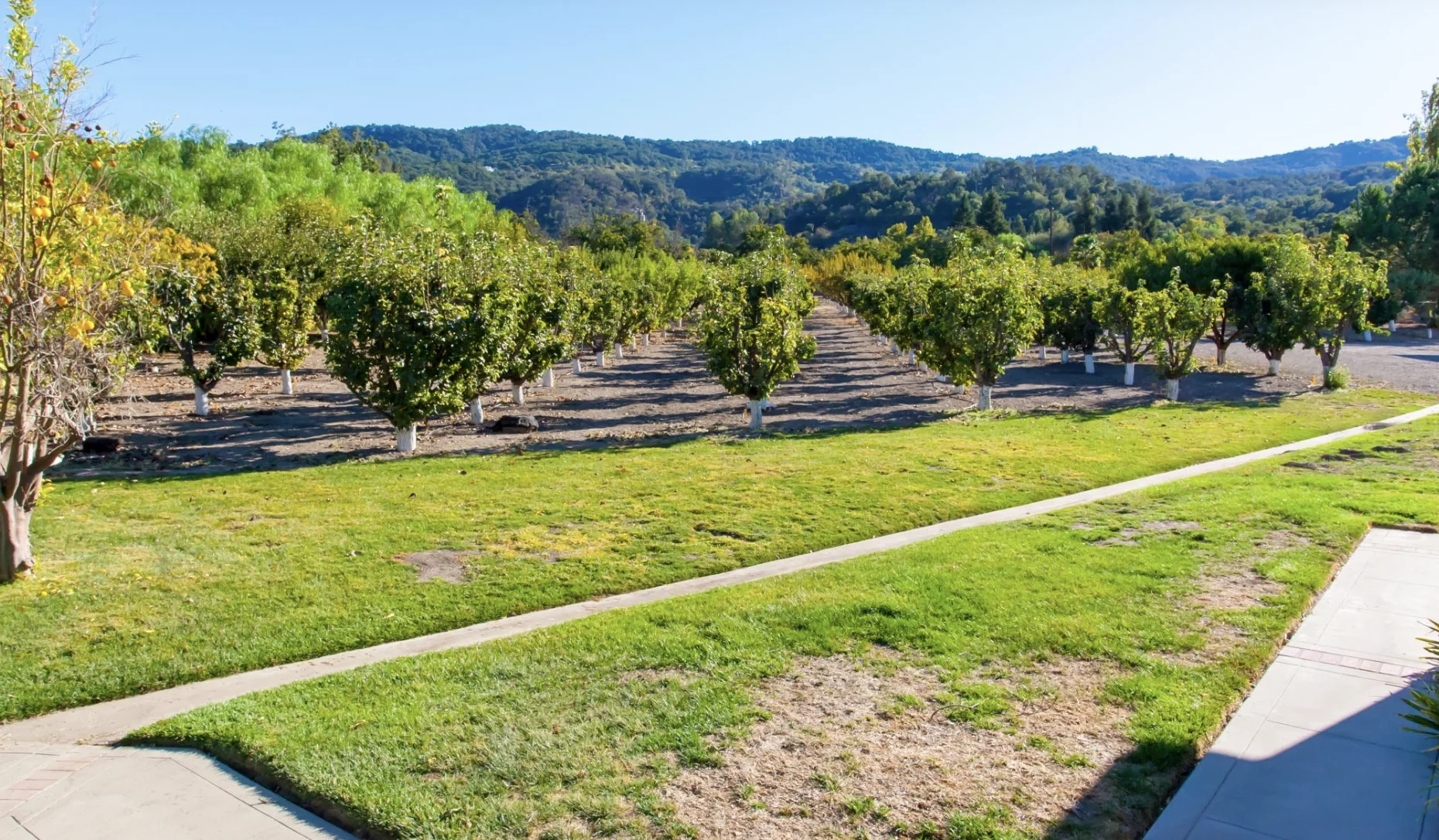 22nd Annual Yoga Jambalaya
